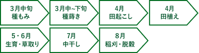 ３月中旬 種もみ ３月中~下旬 種蒔き 4月 田起こし 4月 田植え ５・６月 生育・草取り 7月 中干し ８月 稲刈・脱穀